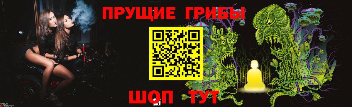 Галлюциногенные грибы GOLDEN TEACHER Елец